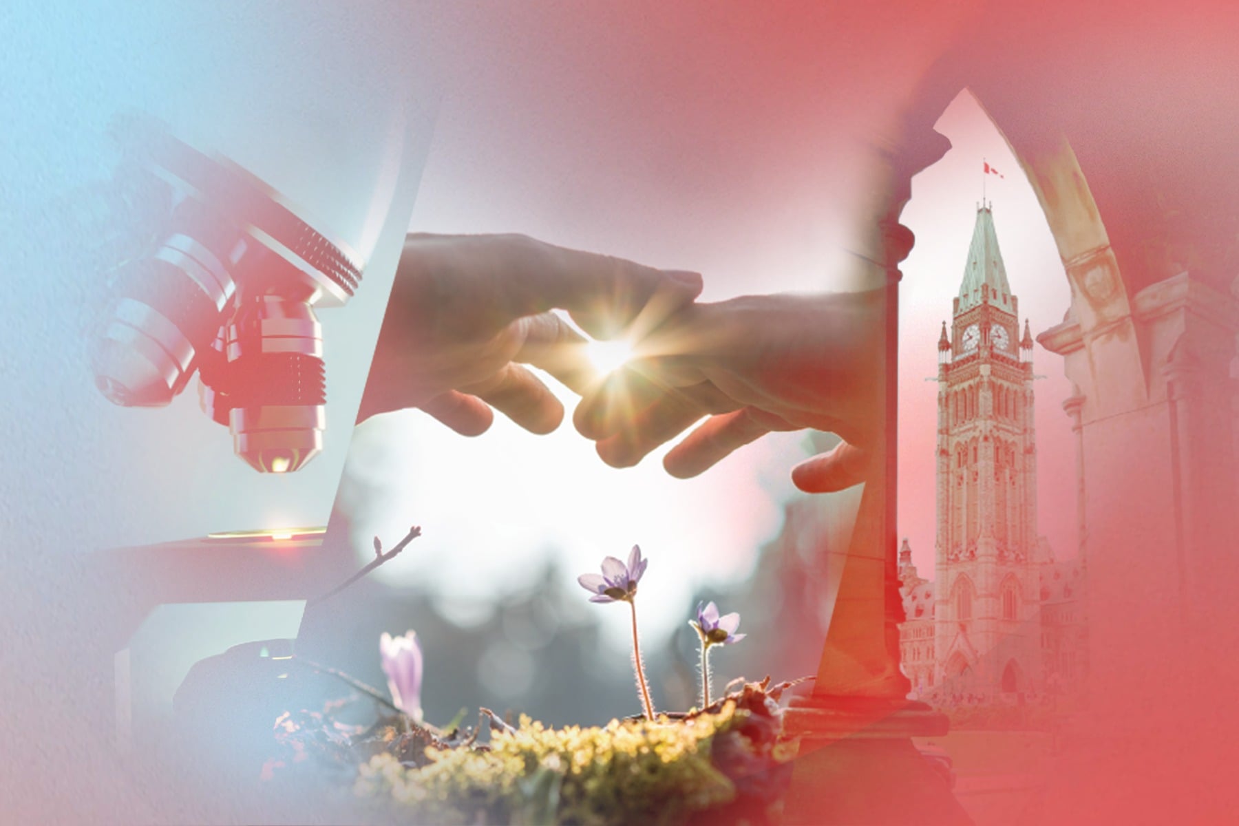 Psychedelics Canada releases new statements aimed at federal policy makers