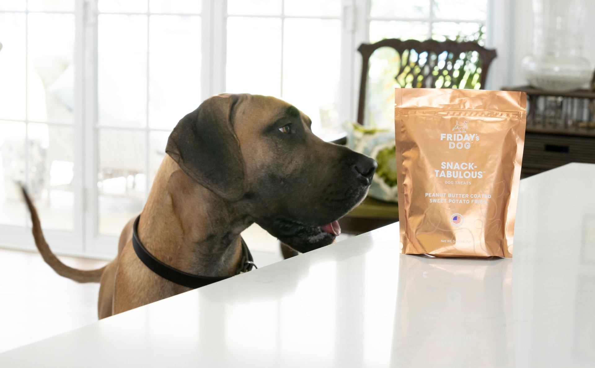 Friday's Dog deluxe pet products stand out in a growing market: Emerging companies