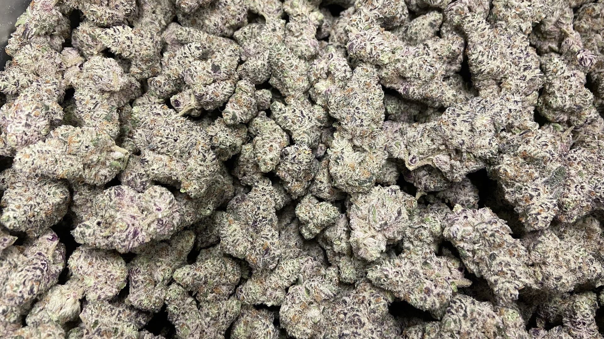 Halo Collective acquires Portland's pot producer Pistil Point