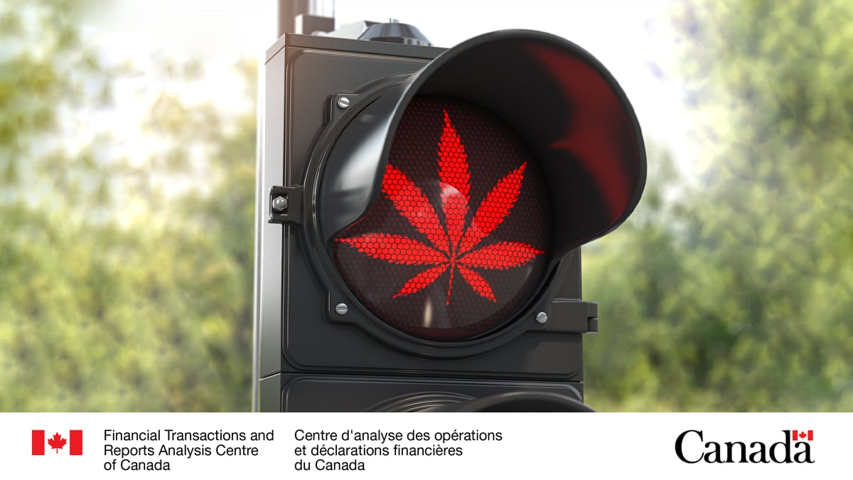 Illicit cannabis online shops are laundering money via front shops, according to the Canadian financial intelligence agency.
