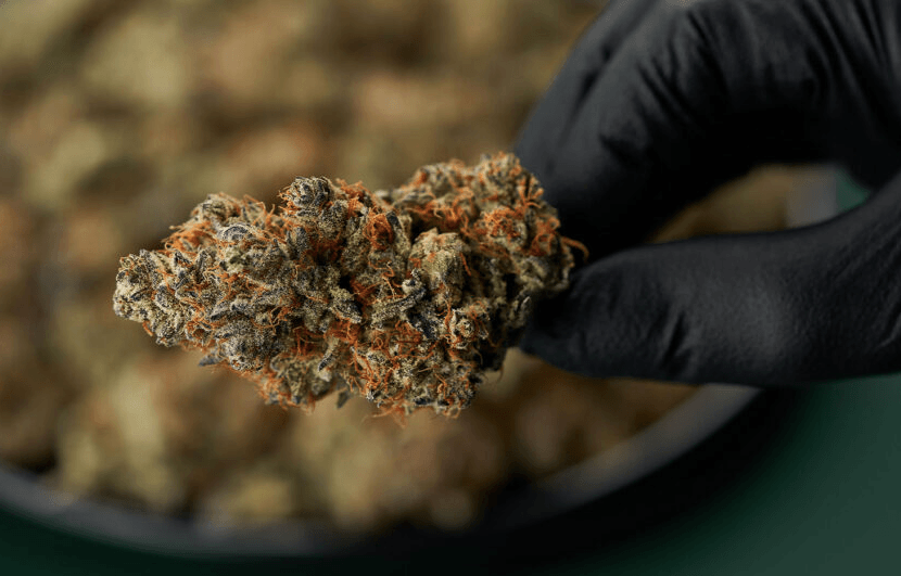 Cielo Verde continues expansion of Bud Lafleur brand in Quebec