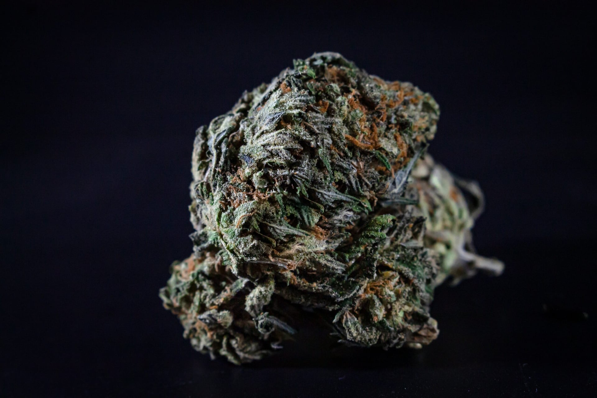 SNDL and IM Cannabis ship first pot flower batch to Israel under joint agreement