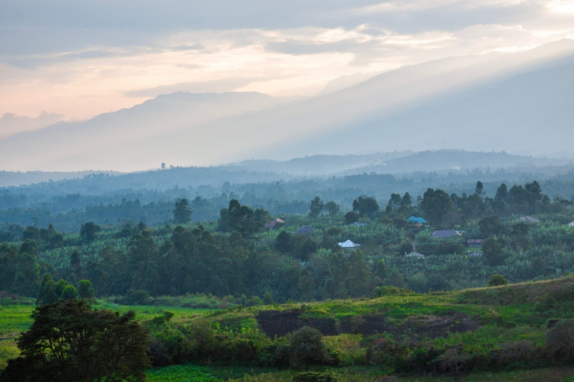 Eden Pharma acquires 5,000-acre site in Uganda for cannabis research and production