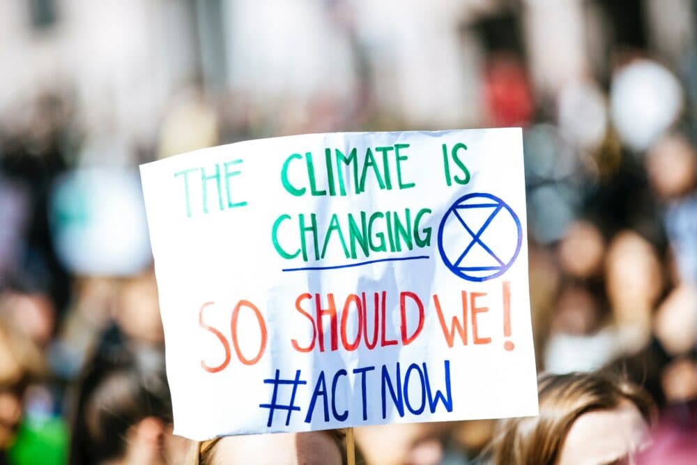 The Mugglehead technology roundup: climate change fighters edition
