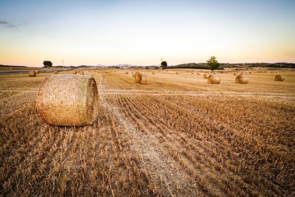PepsiCo hones in on environmental sustainability with Positive Agriculture Outcomes Fund