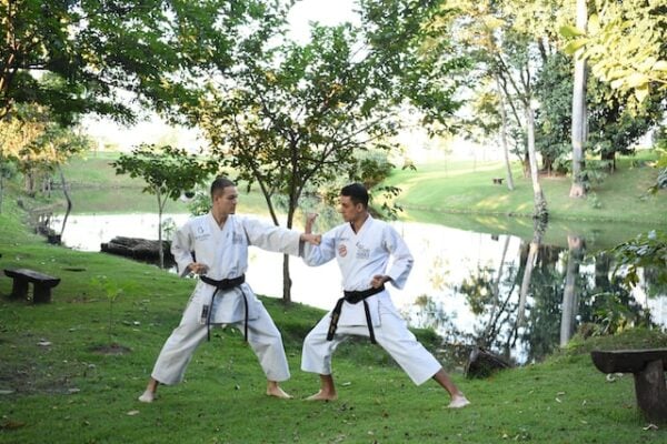 karate fighter