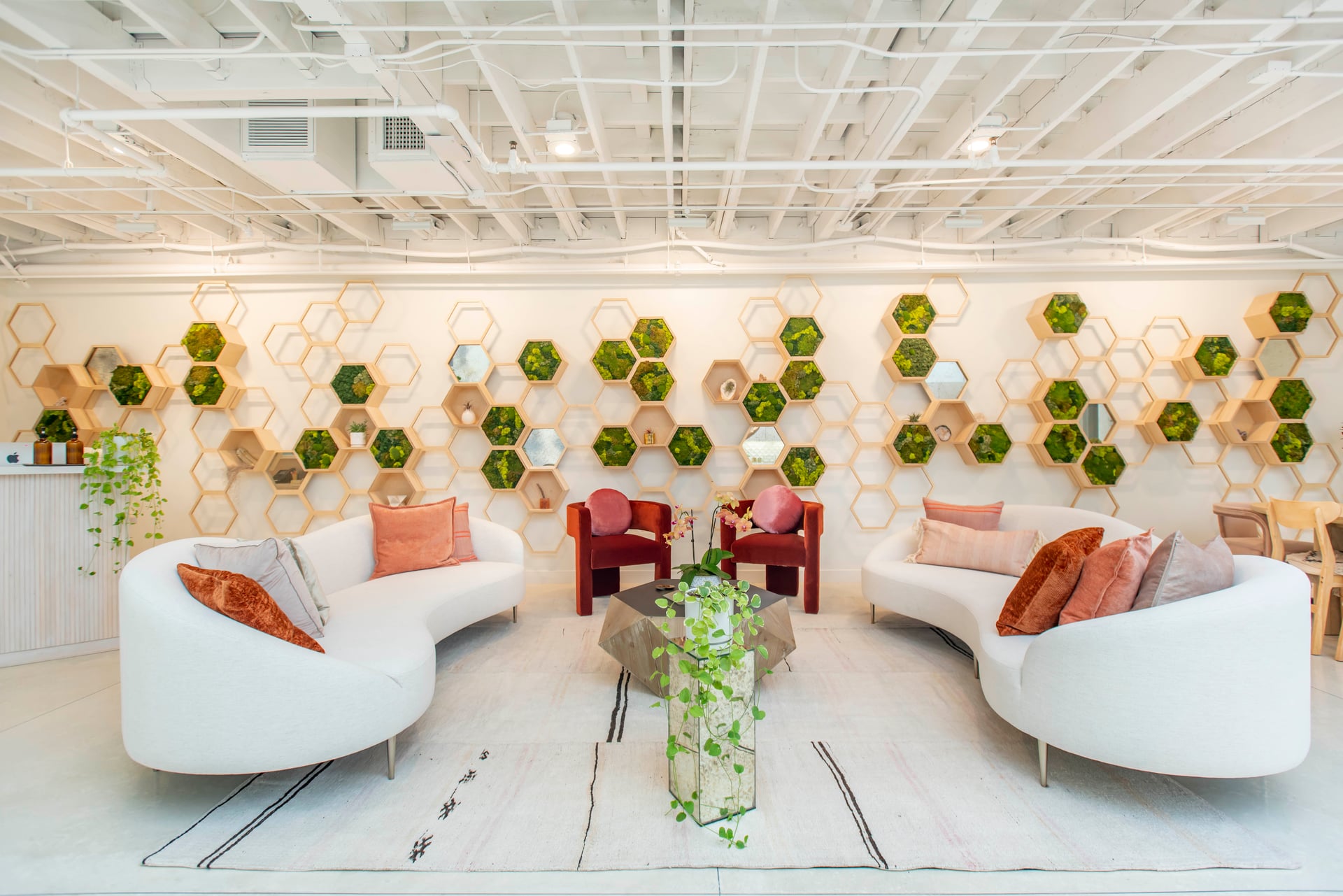 Field Trip offers free psychedelic-assisted therapy for tech workers