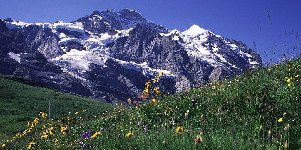 Khiron starts selling cannabis in Switzerland, expands portfolio in Germany and UK
