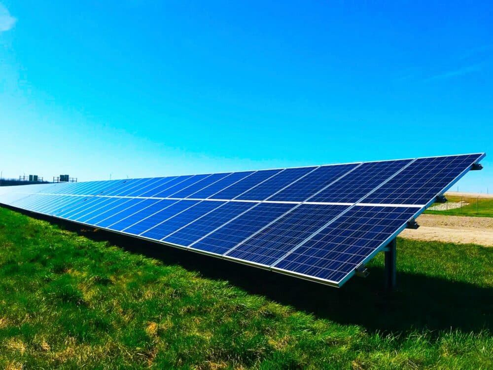 Wendy's restaurants in Florida to source power from renewable energy