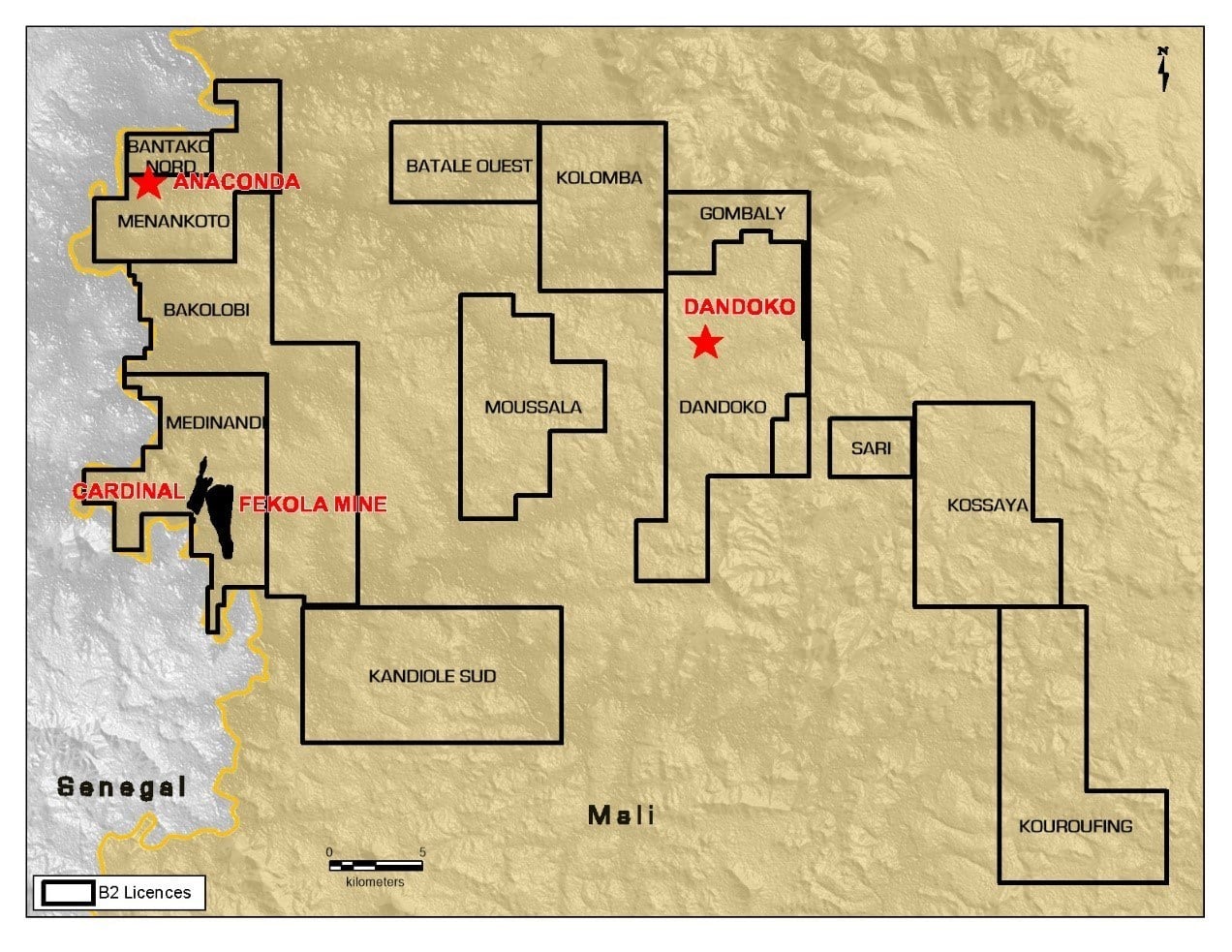 B2Gold finds positive exploration drilling results at Fekola Complex in Mali