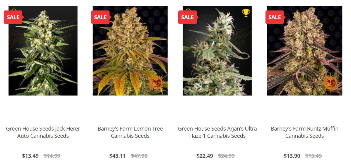High Tide begins selling cannabis seeds in the U.S. via e-commerce platforms