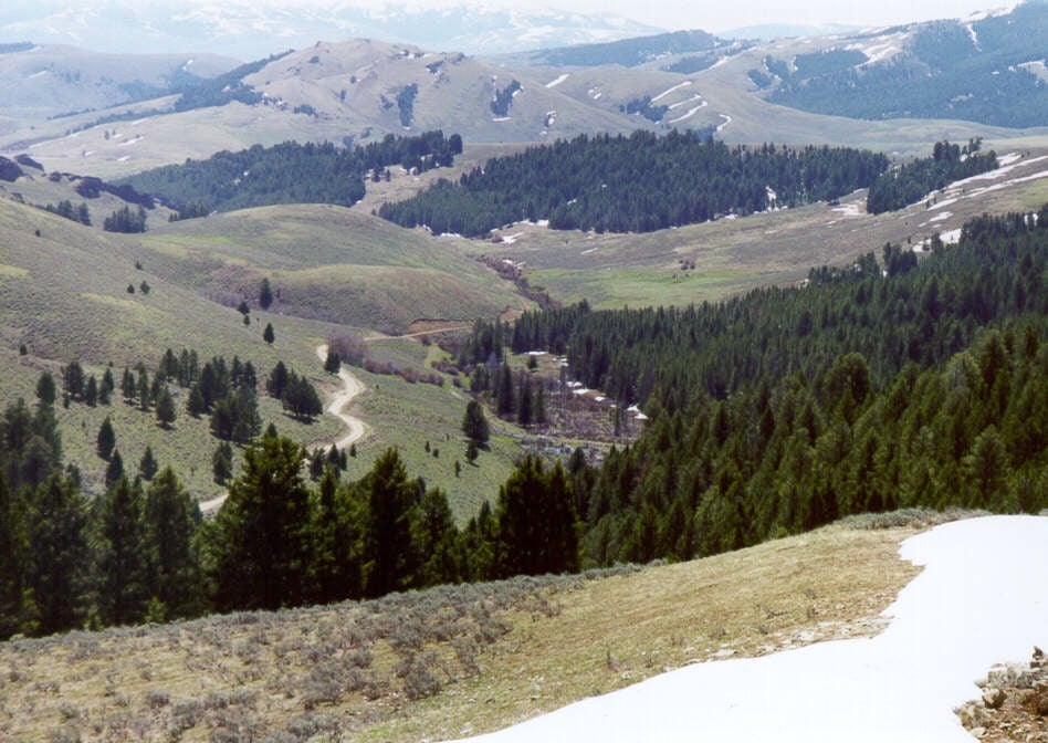 Freeman reports significant increase in grade at its Idaho Lehmi project