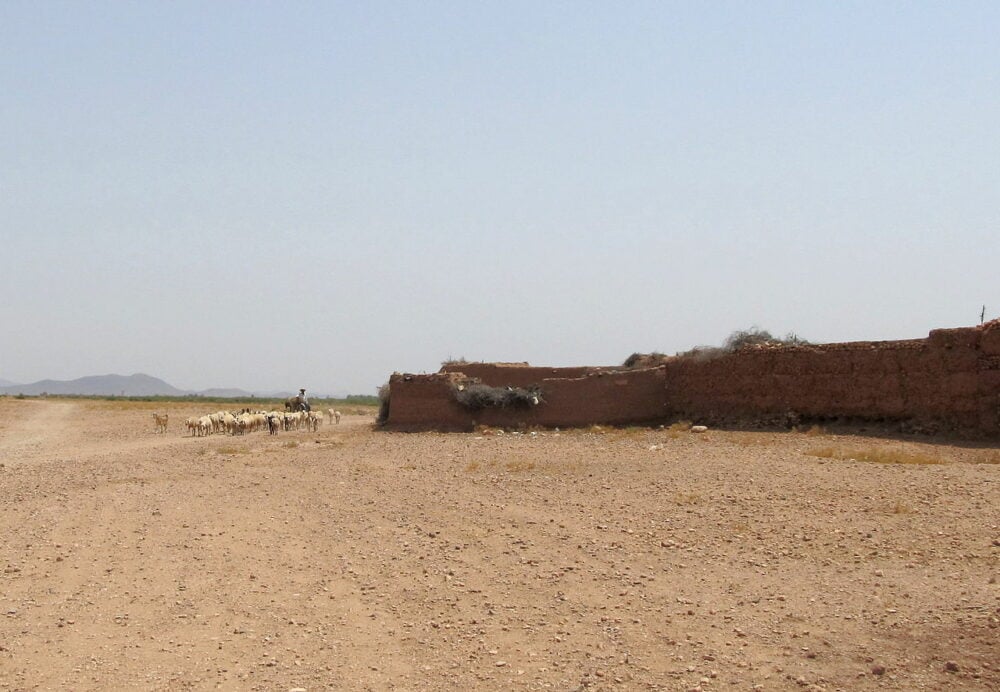 West Vault Mining partnership with Arid Lands Research Fund displays remediation progress