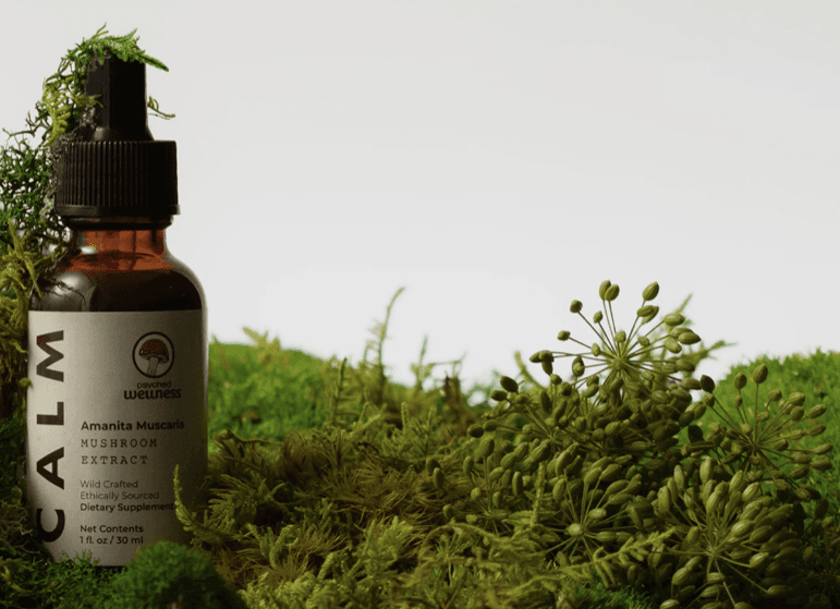 Toronto's Psyched Wellness formulates the first commercial Amanita Muscaria extract
