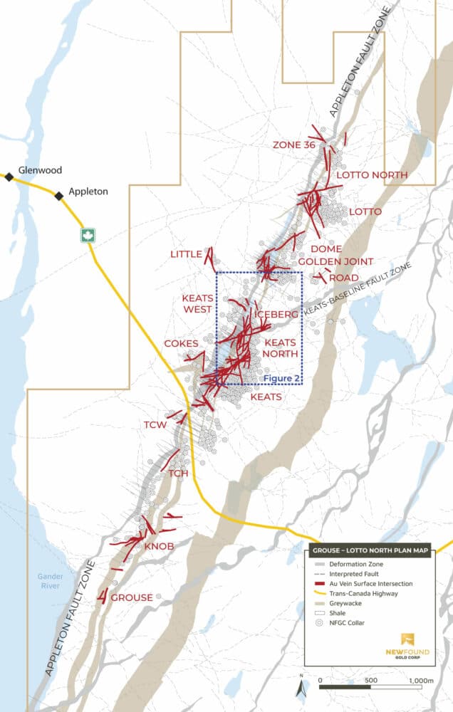 New Found Gold finds significant high grade gold at Queensway project