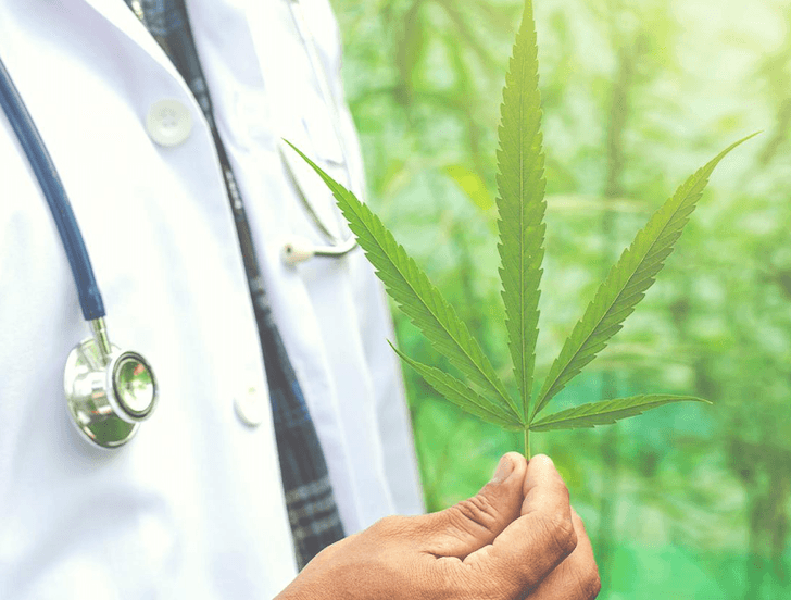 Shoppers Drug Mart hands its medical cannabis business over to Avicanna