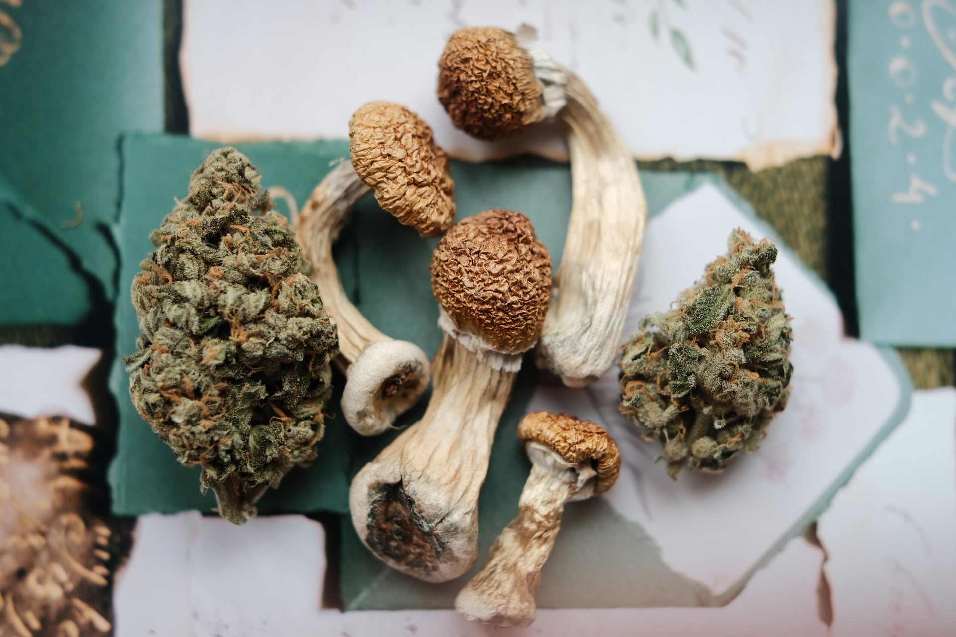 Lucy Scientific Discovery acquires IP rights to psilocybin CBD combo drug from Wesana Health