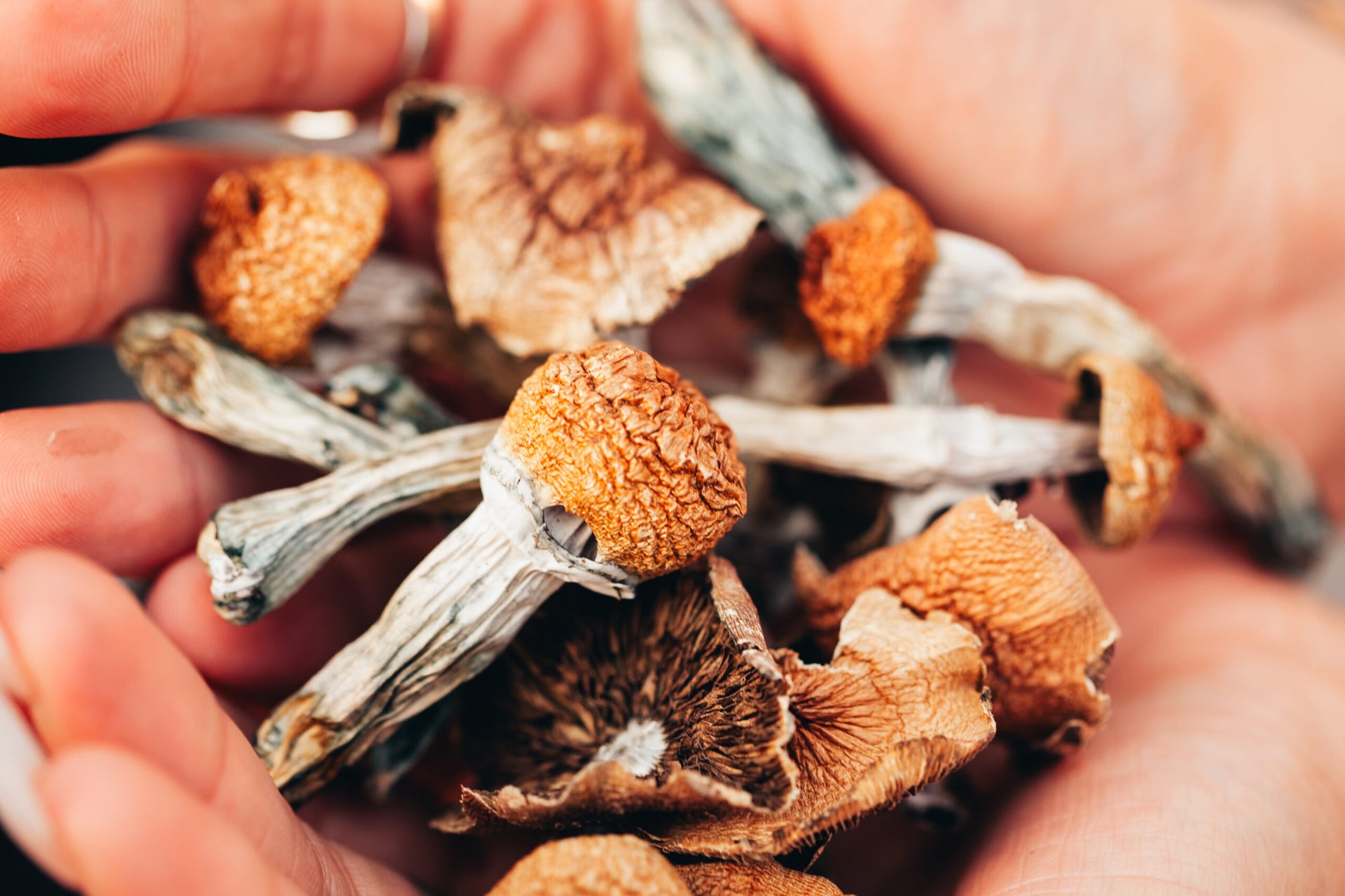 International psychedelics market will be worth US$8.31B by 2027: Report Linker