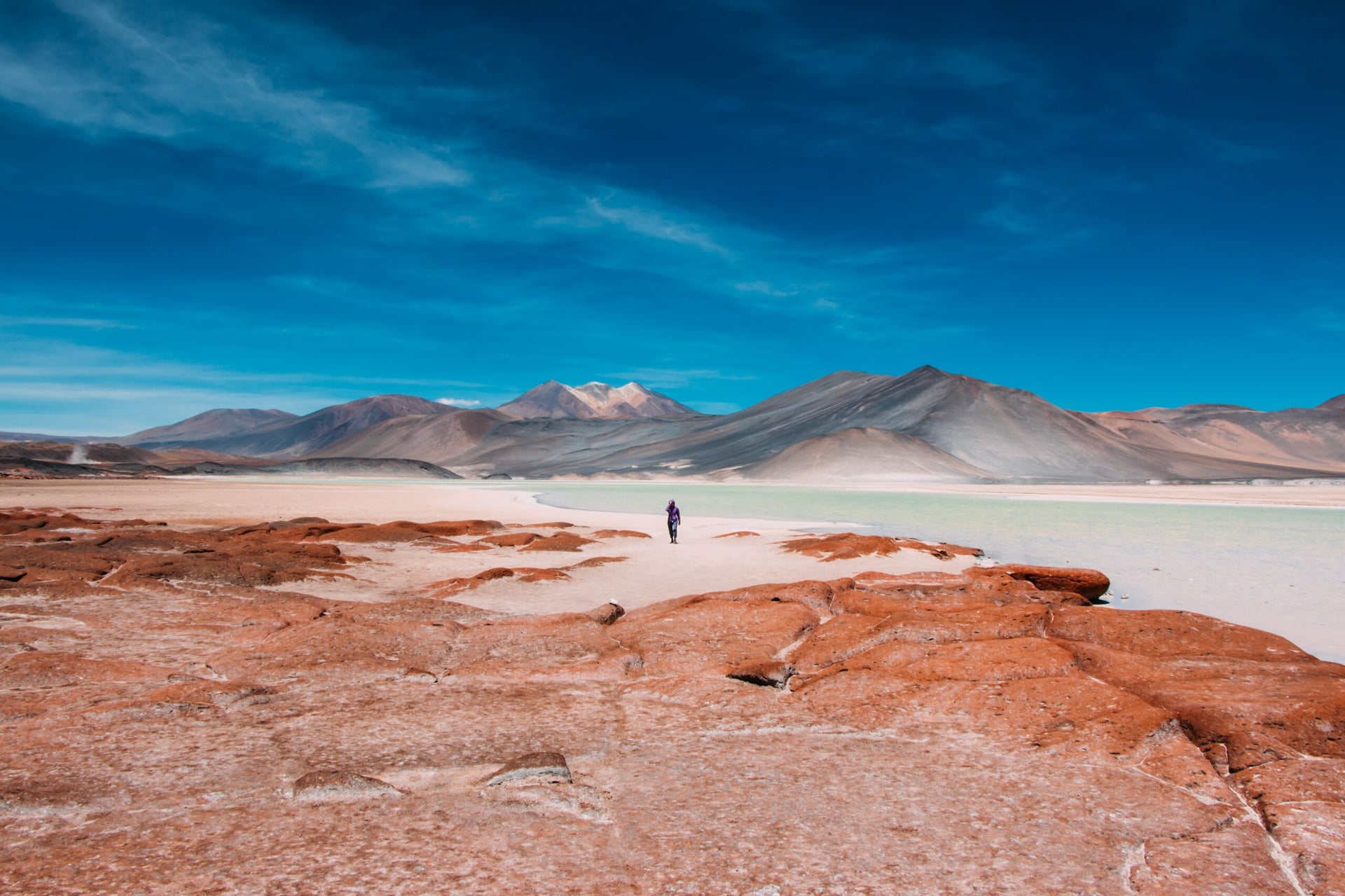 Chile announces plans to nationalize its lithium industry