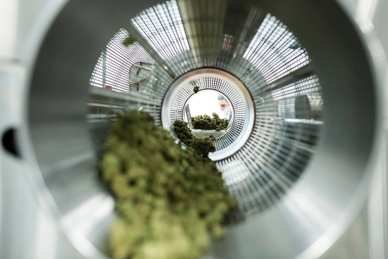 ROSE LifeScience to distribute HEXO's Quebec-grown cannabis