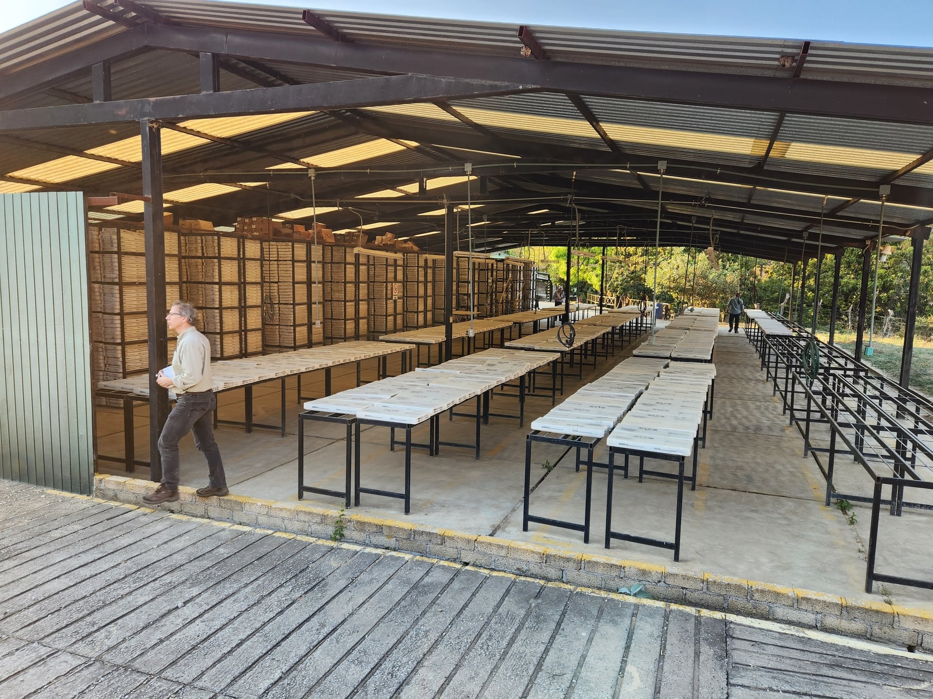 Heliostar Metals reports high-grade intercepts from Guerrero, Mexico