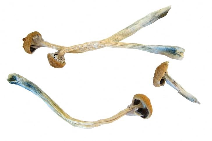 Ohio State University gets DEA approval for psilocybin cultivation and research