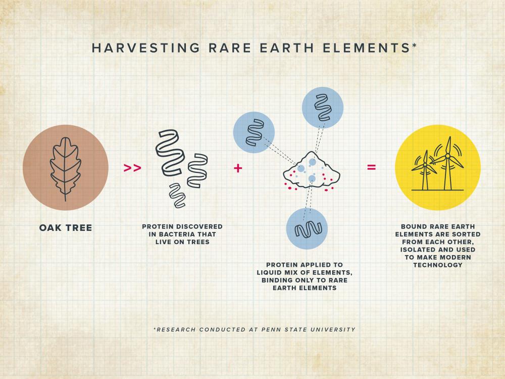 Protein outperforms humans in separating rare earths, opening doors for sustainable mining technology