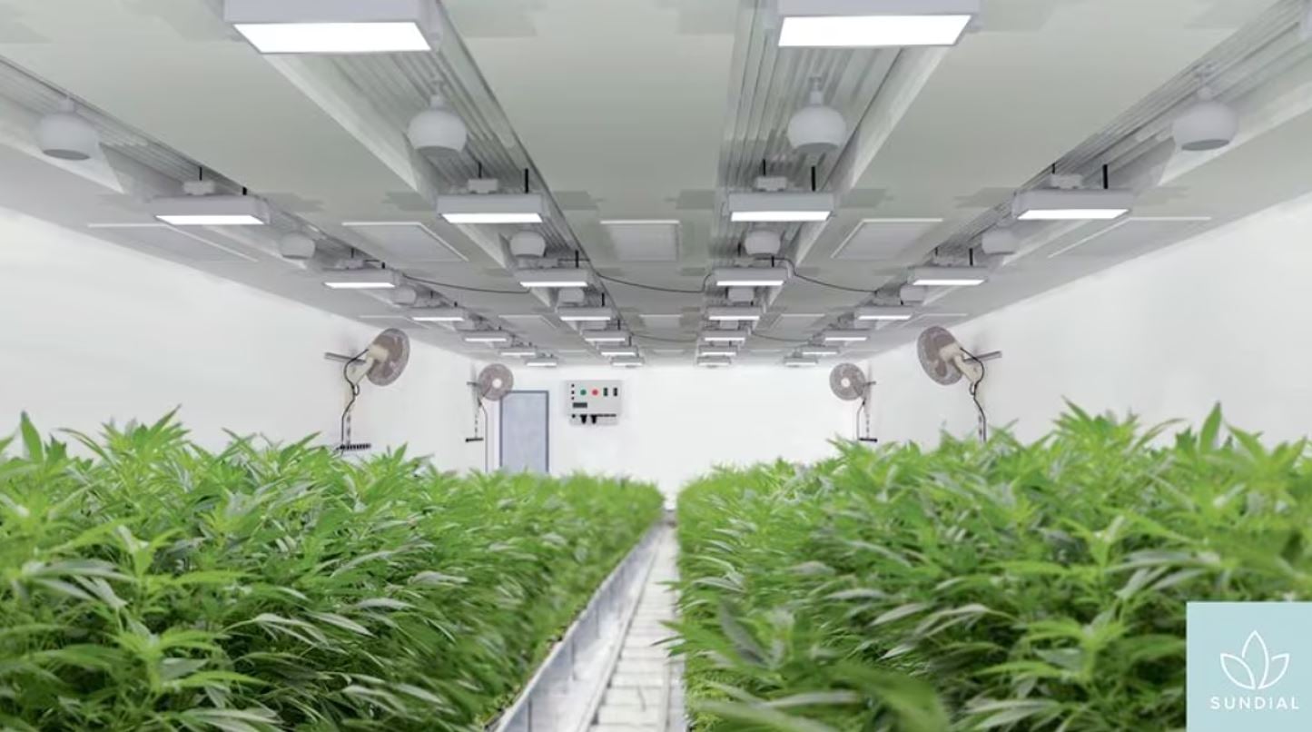 SNDL targets $30M in cost savings through 2024 from Valens acquisition