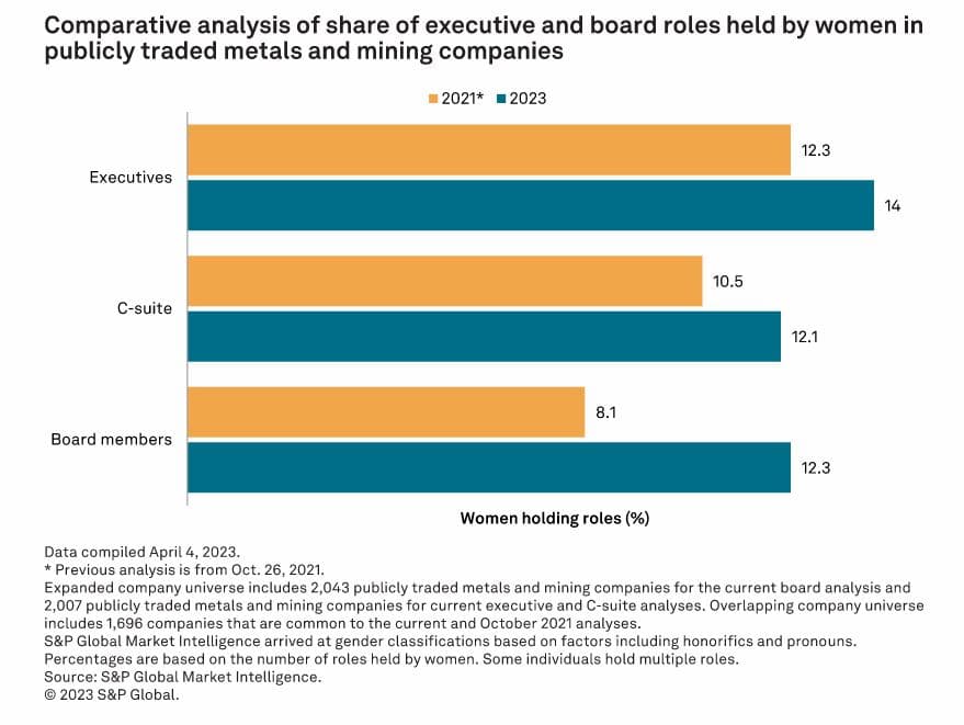 Women are underrepresented in mining industry leadership roles