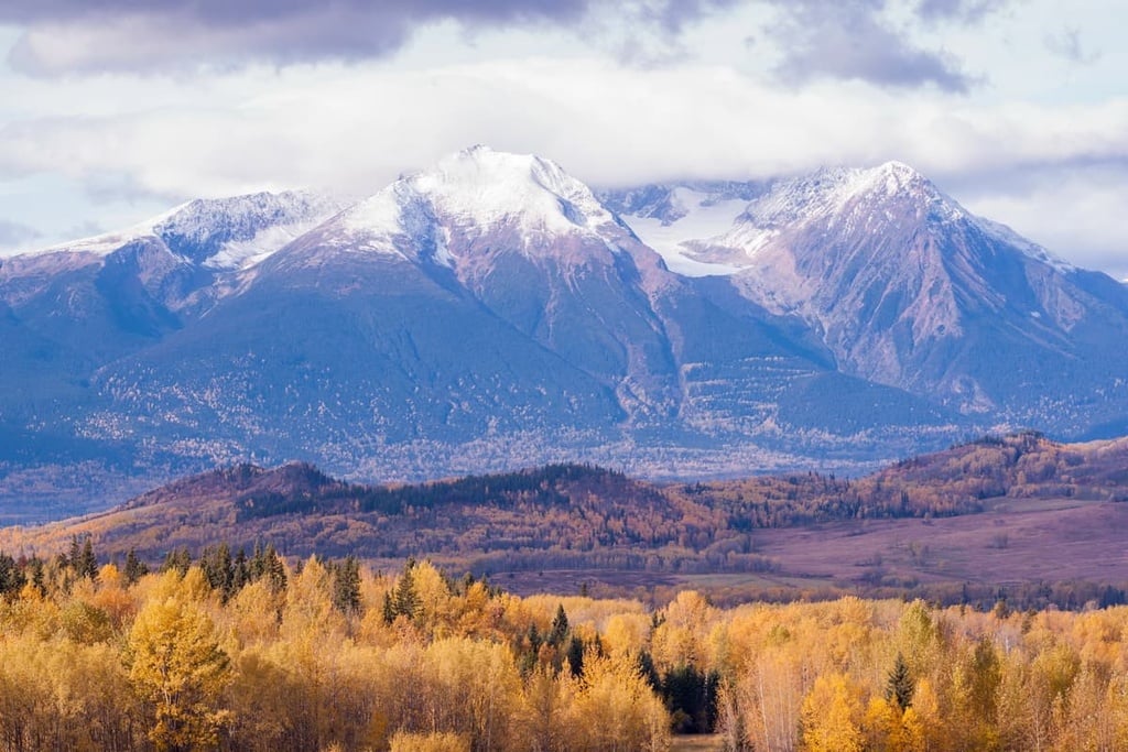 Finlay Minerals to use machine-learning to increase exploration success
