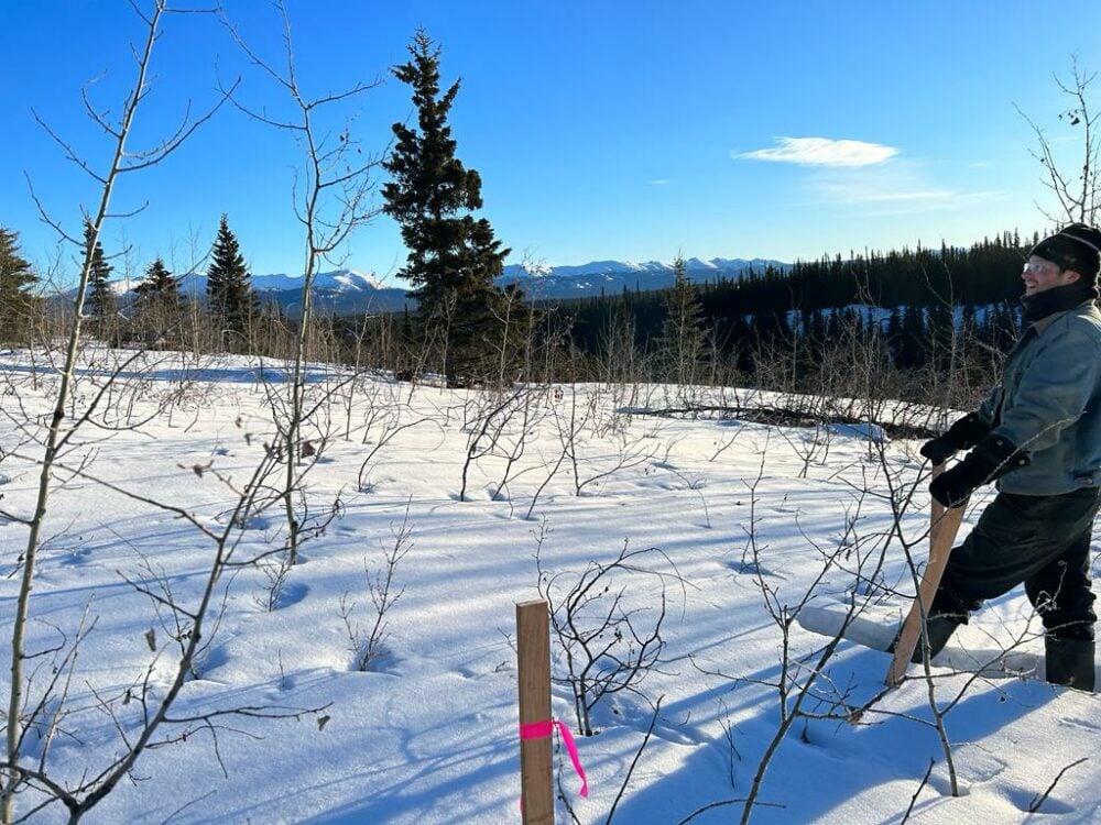 Gladiator Metals discovers high-value copper assays in the Yukon