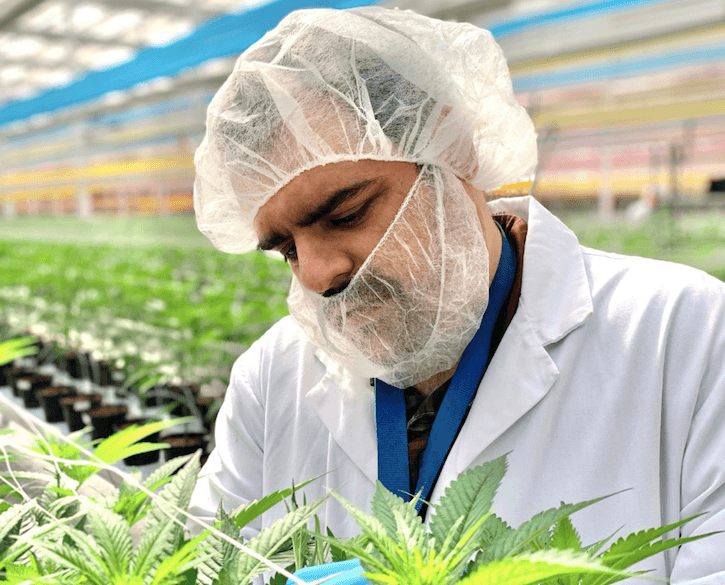 Tilray finalizes acquisition of HEXO, becomes Canada's top flower producer