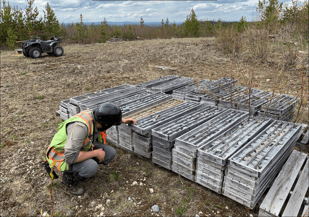 Vizsla Copper expands Woodjam project in Southern BC