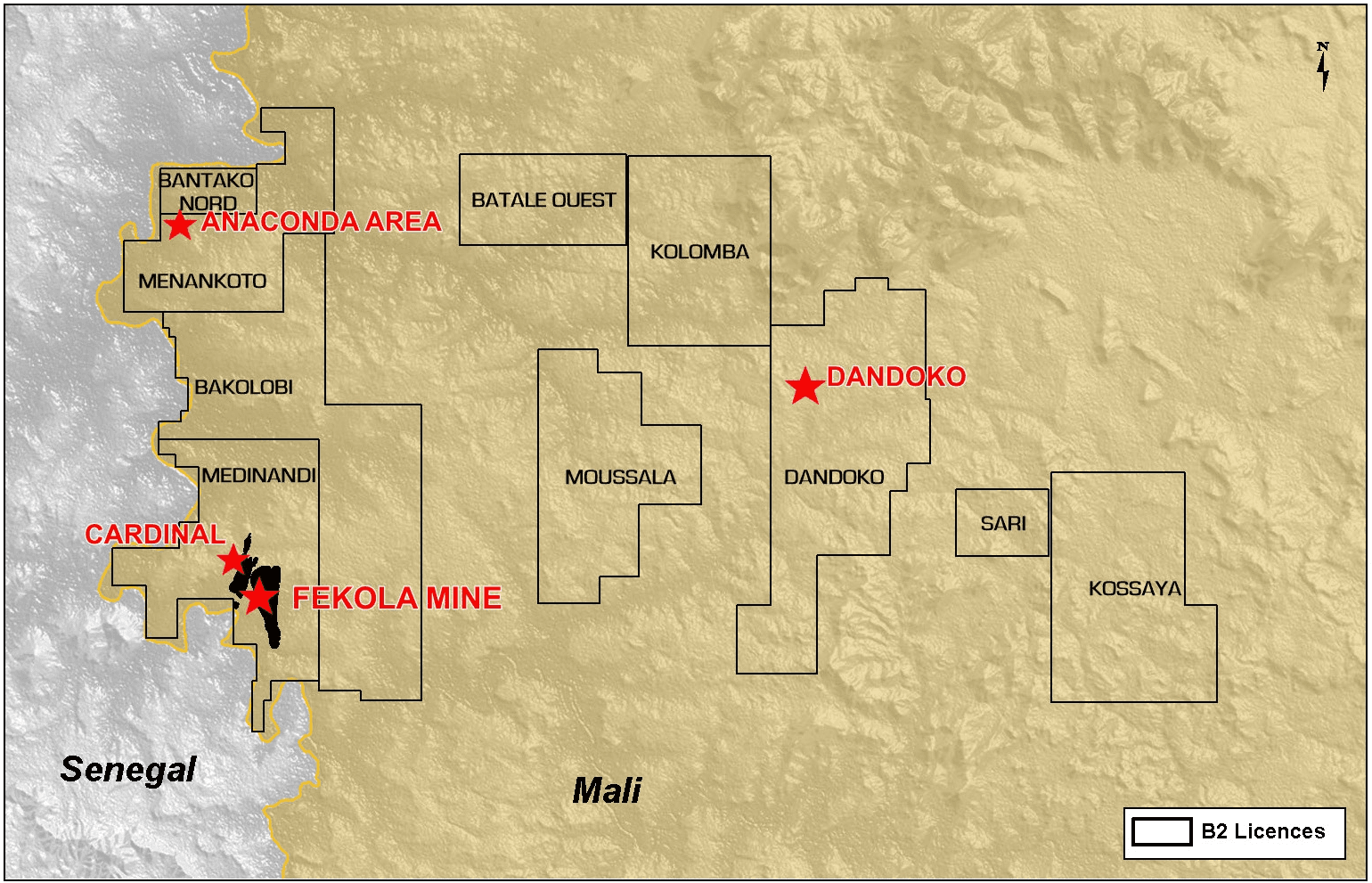 B2Gold increases indicated resources by 80% at Anaconda Area near Mali's Fekola Mine