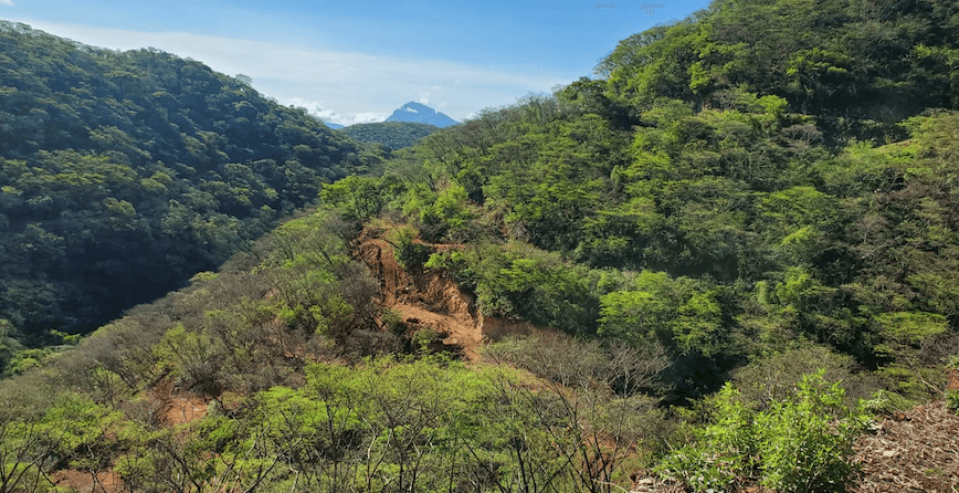 Heliostar Metals reports best drill result to date at Mexico's Ana Paula project
