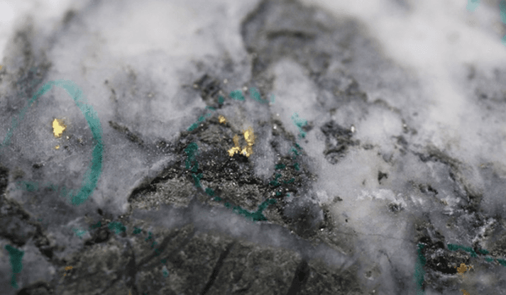 New Found Gold reports more high-grade drill results in Newfoundland and Labrador