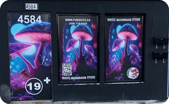 Windsor police raid city's new mushroom dispensary, owners open up shop next day