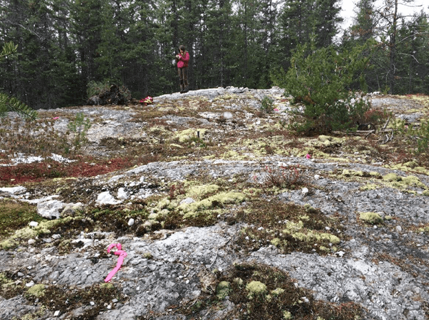 Olympio Metals acquires lithium property in Quebec from Vision Lithium