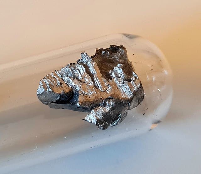 Penn State researchers develop rare earth extraction method inspired by mussels
