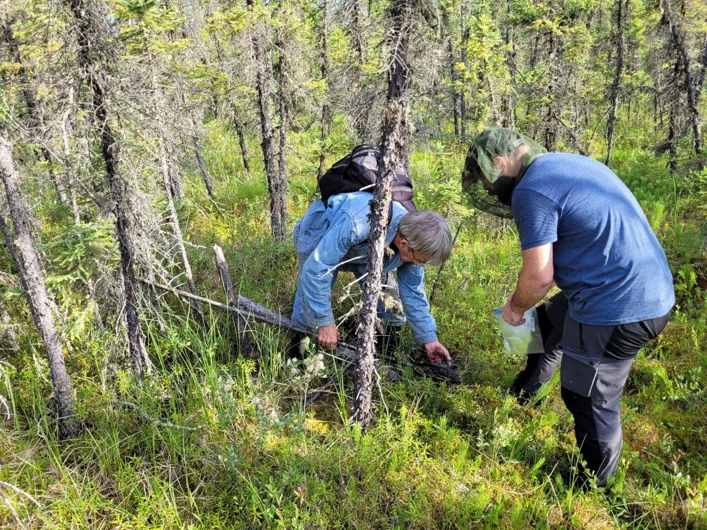 Foremost Lithium closes acquisition of Lac Simard South Property in Quebec