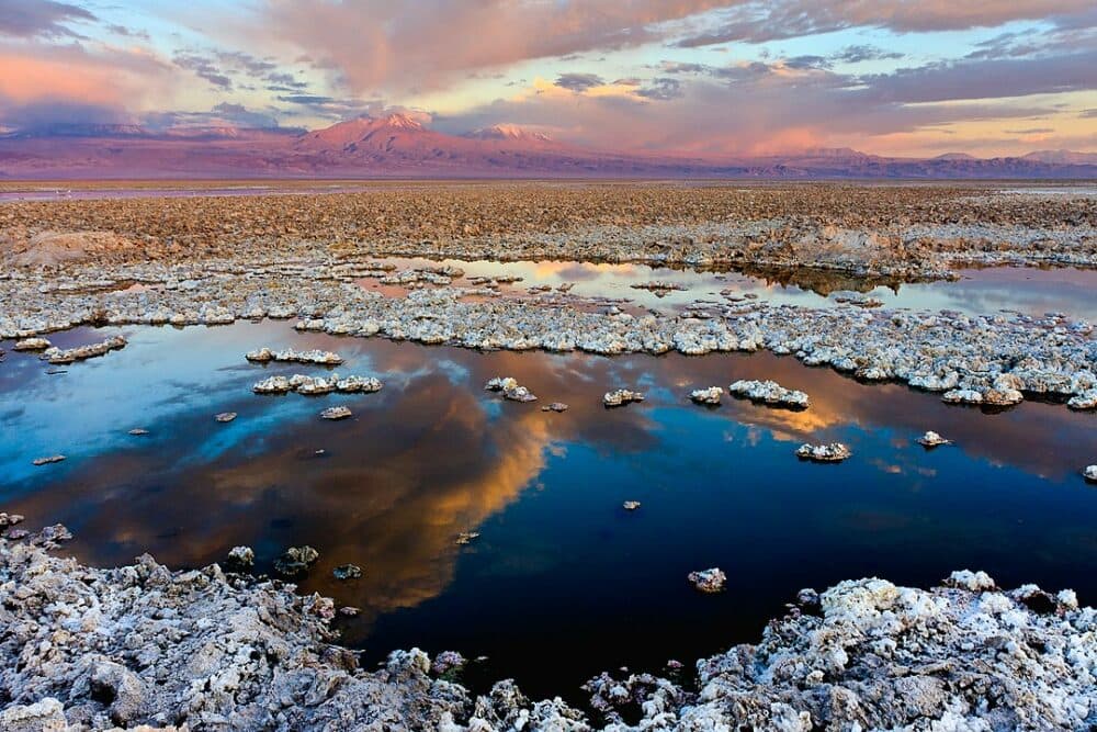 lithium companies