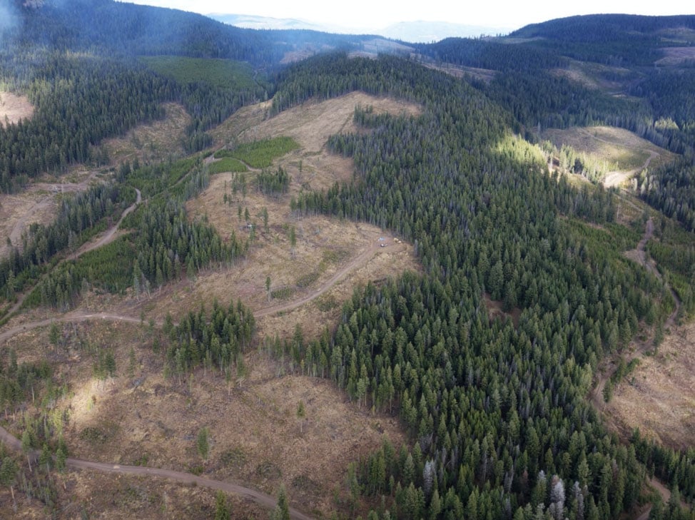 Westhaven Gold finds high-grade gold at Shovelnose property in British Columbia
