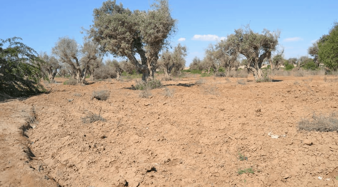 Ivanhoe Mines granted over 22K square kilometres of copper prospecting rights in Angola