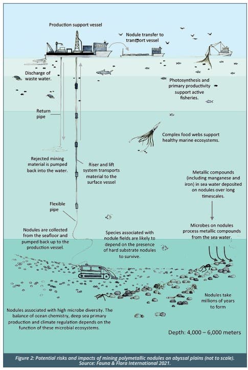 Norway takes one step towards mining critical minerals in the Arctic seafloor