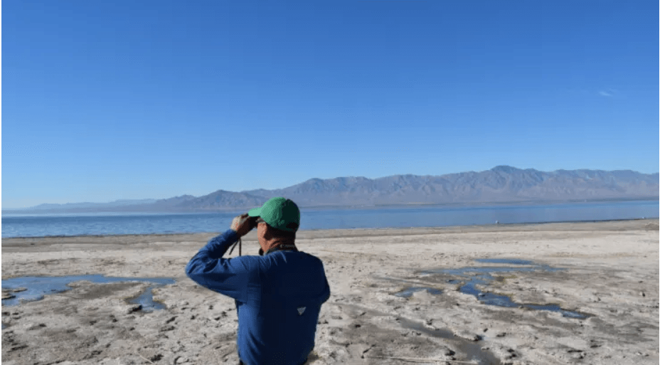Scientists discover $540 billion lithium deposit at the bottom of California's Salton Sea
