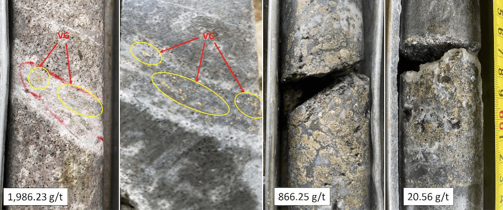 Lion One Metals reports bonanza grade gold intercepts with up to 1,986 g/t in Fiji