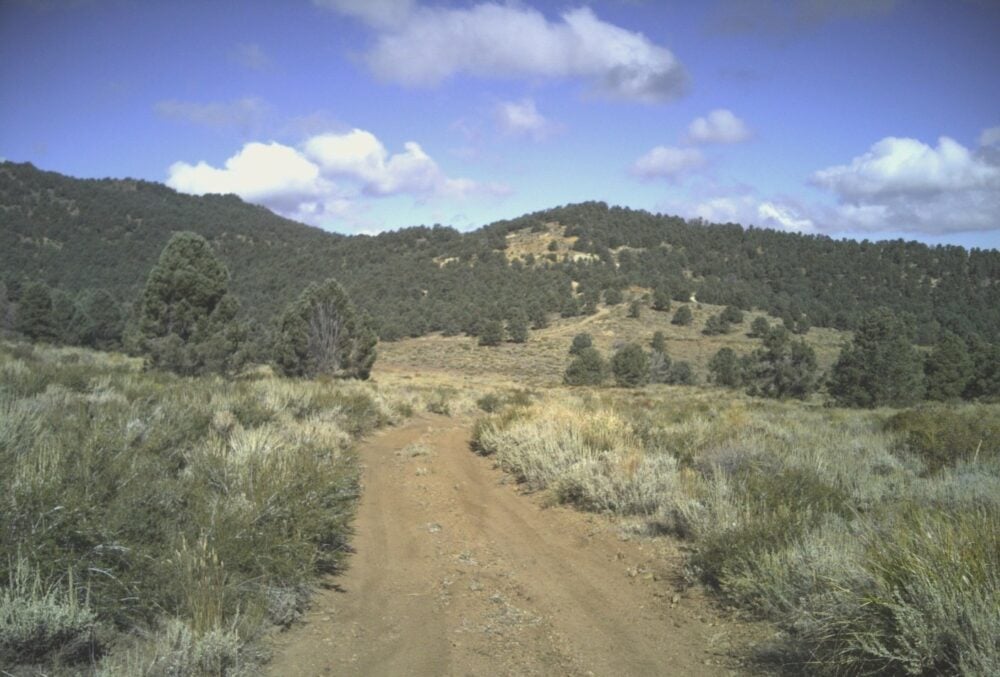 T2 Metals acquires copper-gold project in Nevada