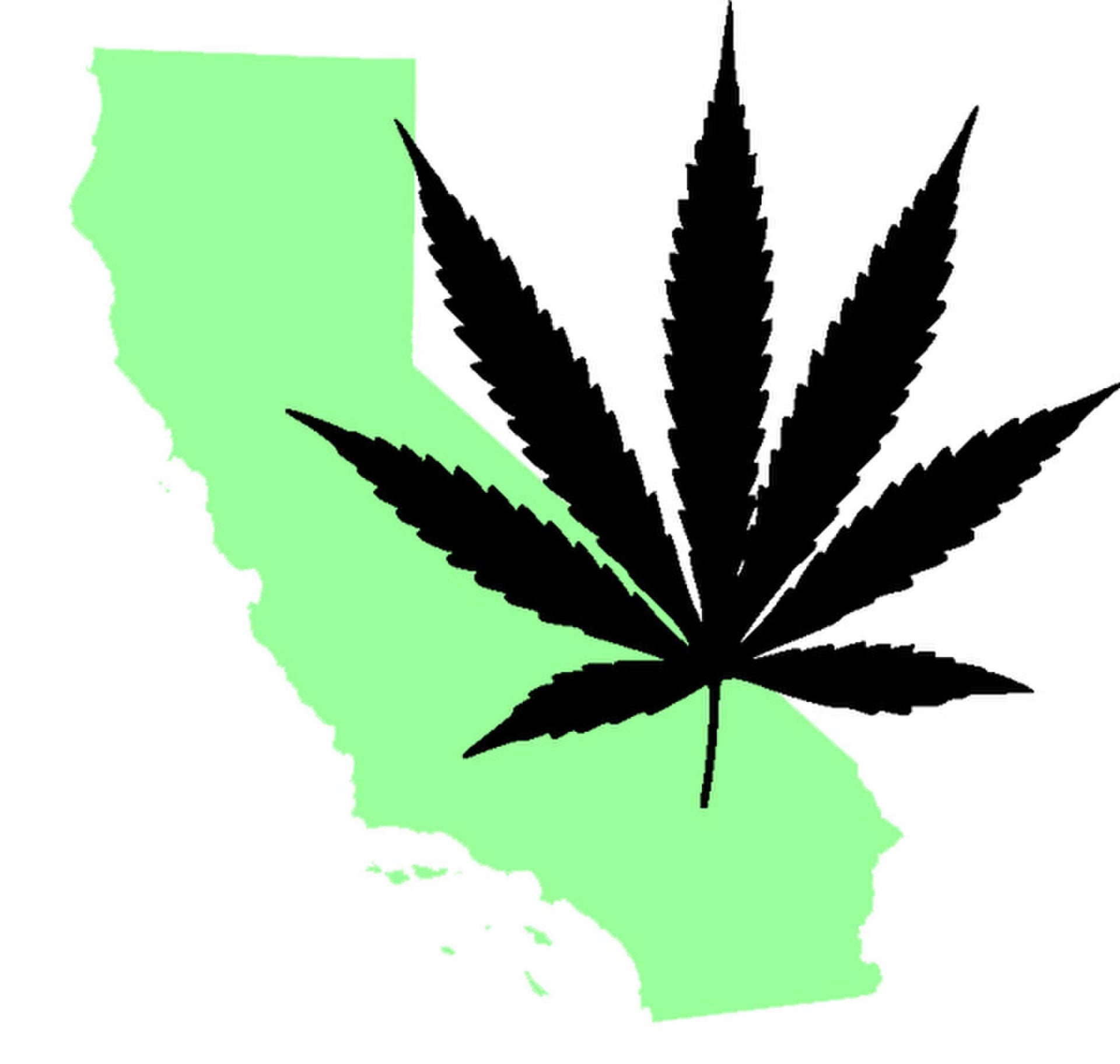 Illegal cannabis market violence raises concerns in California