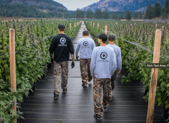 Christina Lake Cannabis acquires outdoor cultivation facilities in southern BC for C$3M
