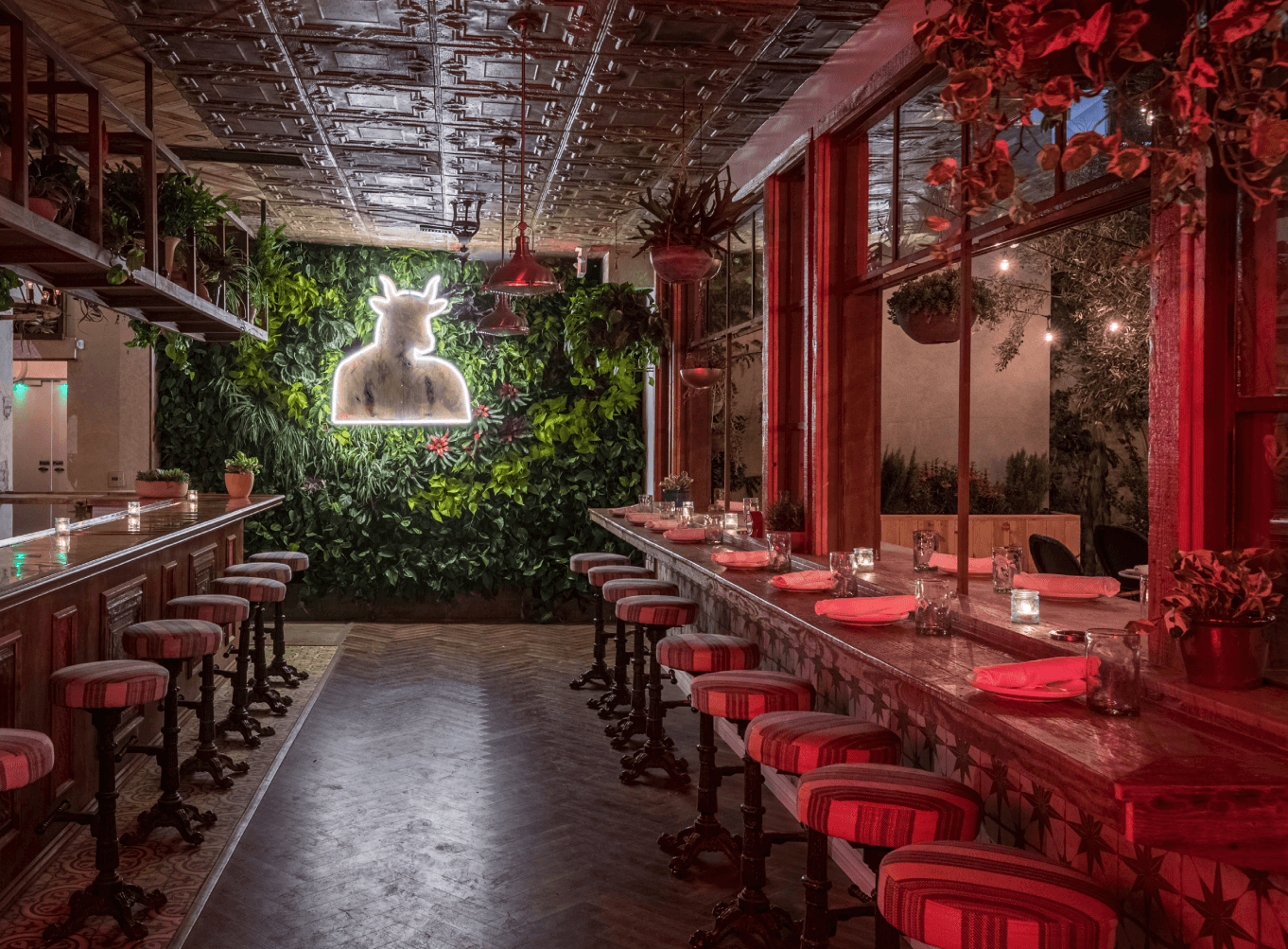 OG Cannabis Cafe: Blending culture, cannabis, and community